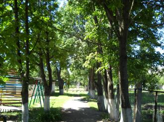 /Files/images/blagodyn_vneski/teritorya/DSCN1086.jpg